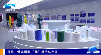 仙桃：链式招商 “织”就千亿产业