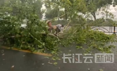 宜昌遭遇暴雨大风天气 “防汛清障队伍”紧急出动