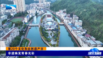 第20个文化和自然遗产日｜非遗焕发青春光彩
