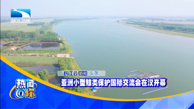 亚洲小型鲸类保护国际交流会在汉开幕