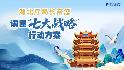收藏丨“七大战略”行动方案厅局长访谈视频集锦来了！