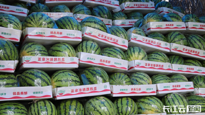襄阳宜城：西瓜丰收销售俏
