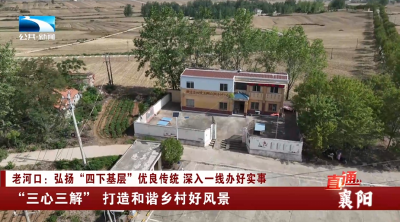 襄阳老河口：“三心三解” 打造和谐乡村好风景