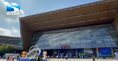 陈平率团出席第四届中国—非洲经贸博览会