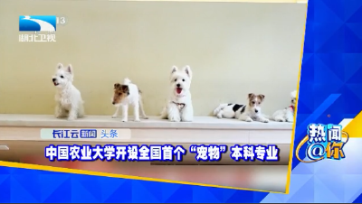 中国农业大学开设全国首个“宠物”本科专业