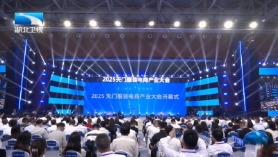 2025服装电商产业大会：“天门方案”破解高库存困局