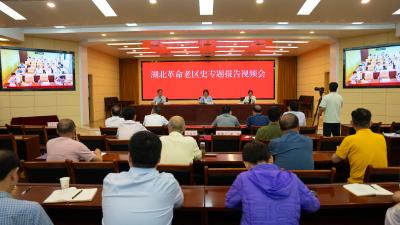 赓续红色基因 汲取精神伟力 省老区建设促进会举办湖北革命史专题报告会