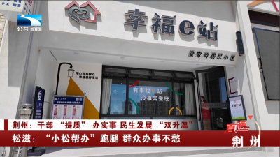 荆州松滋：“小松帮办”跑腿 群众办事不愁