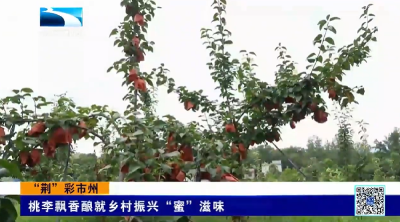 “荆”彩市州 | 桃李飘香酿就乡村振兴“蜜”滋味