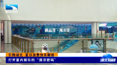 乐购湖北 夏日消费快乐翻倍 | 打开室内娱乐的“清凉密码”