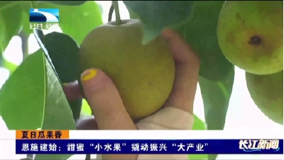 恩施建始：甜蜜“小水果”撬动振兴“大产业” 