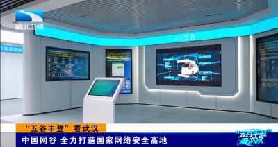 “五谷丰登”看武汉 | 中国网谷 全力打造国家网络安全高地