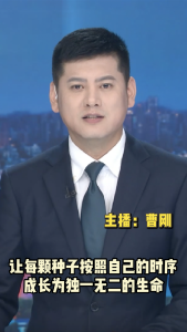 长江评论：让每颗种子按照自己的时序成长为独一无二的生命