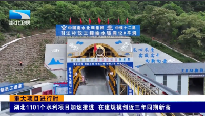 重大项目进行时 | 湖北1101个水利项目加速推进 在建规模创近三年同期新高