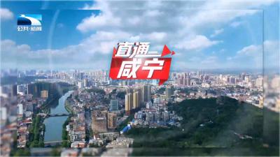 直通咸宁 | 咸宁避暑好去处