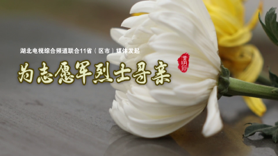 寻找•告慰