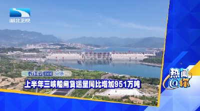 上半年三峡船闸货运量同比增加951万吨