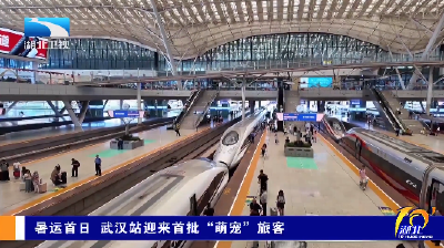 暑运首日 武汉站迎来首批“萌宠”旅客