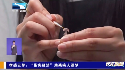 孝感云梦：“指尖经济”助残疾人逐梦