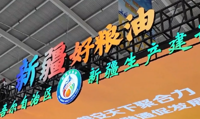 当新疆烤包子遇见湖北米汁