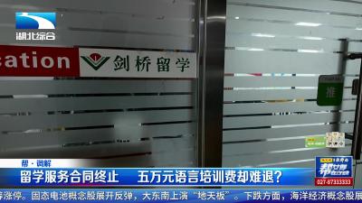 留学服务合同终止   五万元语言培训费却难退？