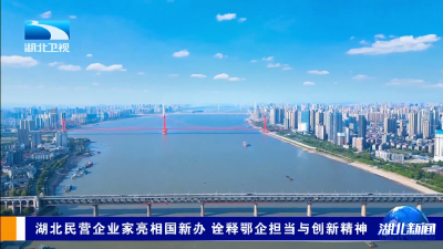 湖北民营企业家亮相国新办 诠释鄂企担当与创新精神