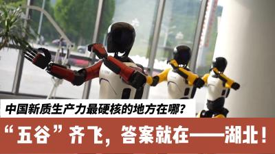 湖北“五谷”并进，未来已来！