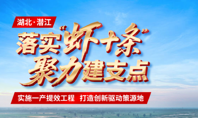 落实“虾十条” 聚力建支点｜潜江龙虾跑出千亿产业“加速度”