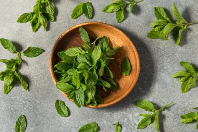 这种食物的钙含量比牛奶还高！吃一口嘴里像是“开了空调”