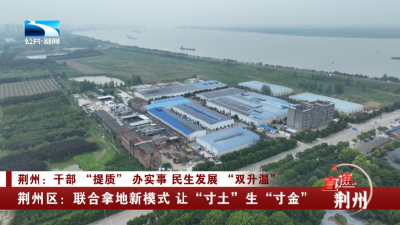 荆州区：联合拿地新模式 让“寸土”生“寸金”