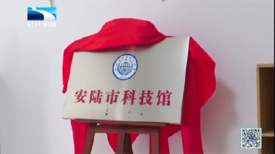 孝感安陆：科技馆里探奥秘 暑假时光乐无穷