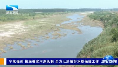 宁咏强调 做深做实河湖长制 全力以赴做好水质保障工作