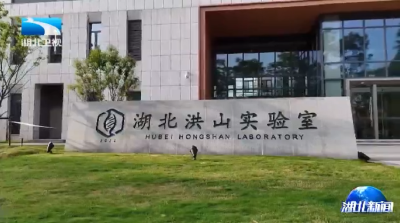 每年不少于50项标志性成果 湖北实验室全力打造原始创新策源地
