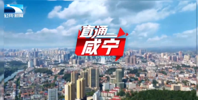 直通咸宁 | 咸宁（武汉）离岸科创园培育记