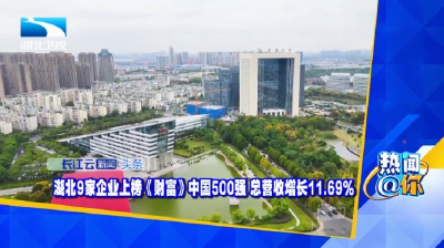 湖北9家企业上榜《财富》中国500强 总营收增长11.69%