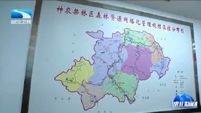 2025年7月10日湖北新闻