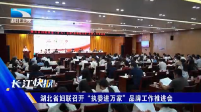 湖北省妇联召开“执委进万家”品牌工作推进会