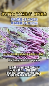洪山菜薹、蔡甸莲藕的品牌价值分别达15.20亿元、36.01亿元