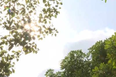 大暑时节各地气候有何差异？气象分析师解读