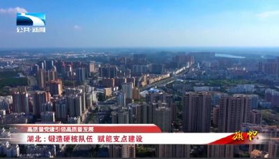 高质量党建引领高质量发展 | 湖北：锻造硬核队伍 赋能支点建设