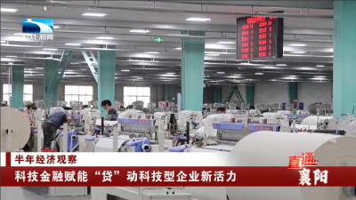 襄阳：科技金融赋能 “贷”动科技型企业新活力