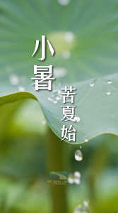 小暑至，苦夏始 | 小暑会养生，百病不缠身！