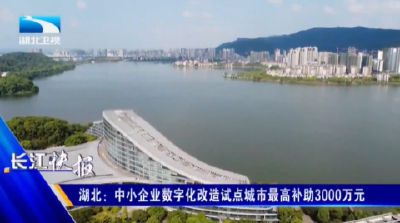 湖北：中小企业数字化改造试点城市最高补助3000万元
