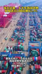 海关总署：上半年我国货物贸易进出口同比增长2.9%