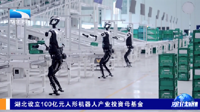 湖北设立100亿元人形机器人产业投资母基金