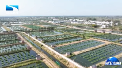 2025年7月23日湖北新闻
