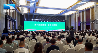 湖北·武汉台湾周  超30个项目签约 总金额超139亿元