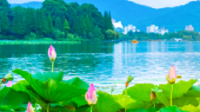 7月，你好！