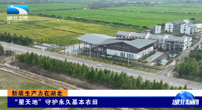 新质生产力在湖北 | “星天地”守护永久基本农田