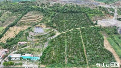 湖北宜城：废弃矿山生态修复加速 75处矿点明年换新绿